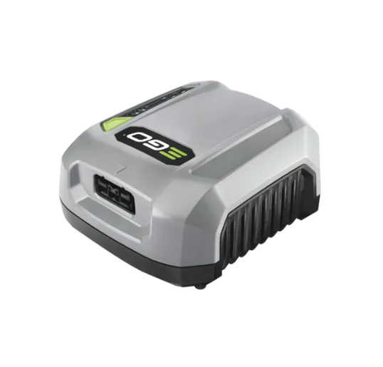 Cargador para mochila CHX5500E